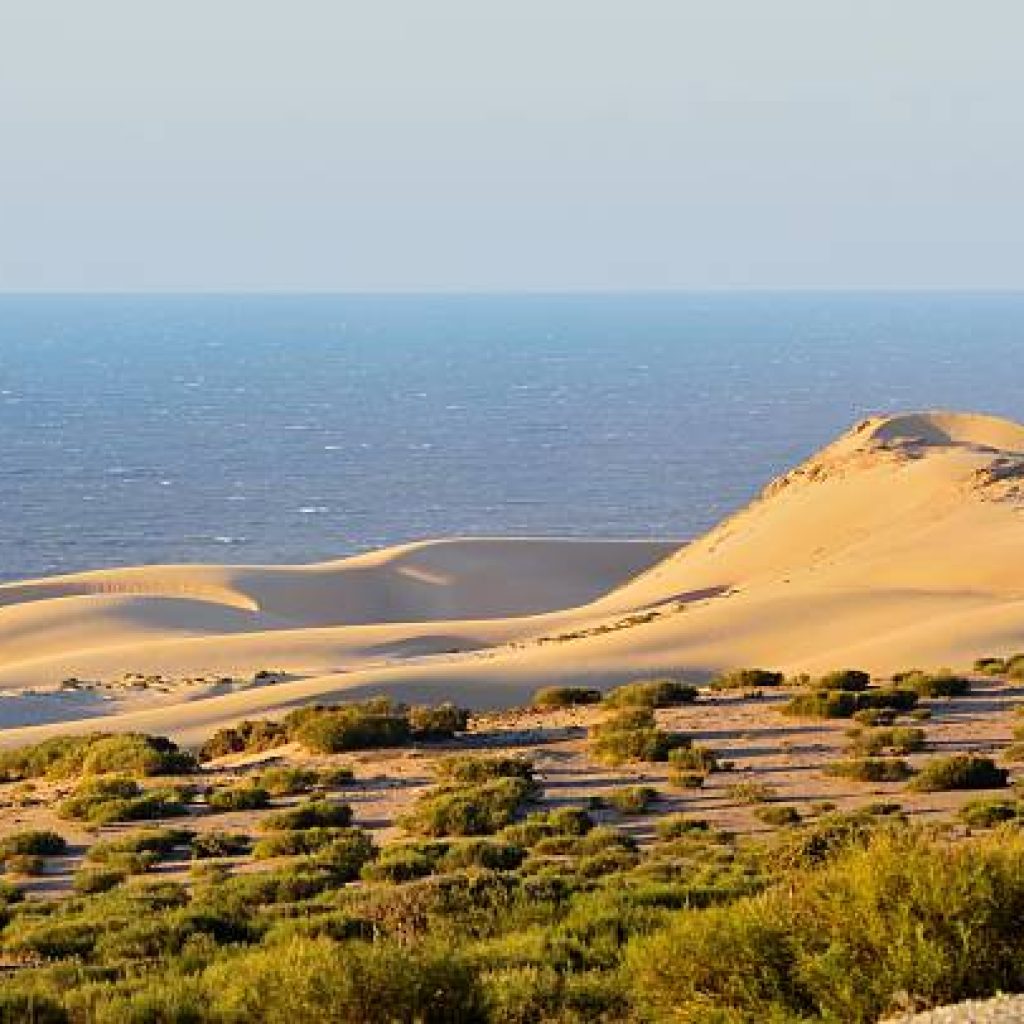 MAGNIFICENT MOROCCO - 08 DAYS/07 NIGHTS - FROM TANGIER