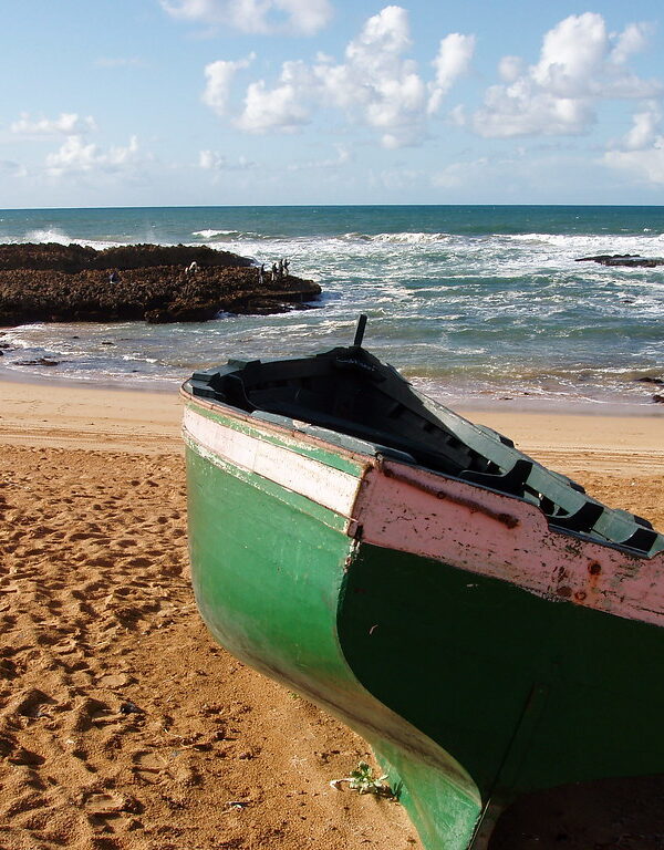 El Oualidia Day Trip from Marrakech