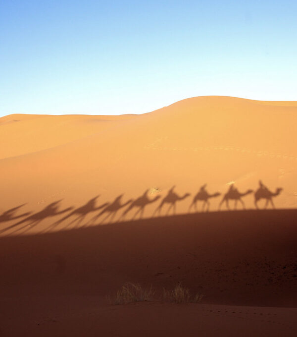 2 Days Desert Tour from Fes to Merzouga, 15 Days Morocco Grand Tour from Casablanca