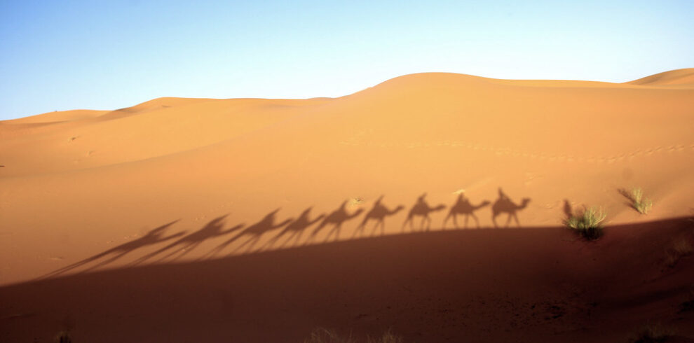 2 Days Desert Tour from Fes to Merzouga, 15 Days Morocco Grand Tour from Casablanca