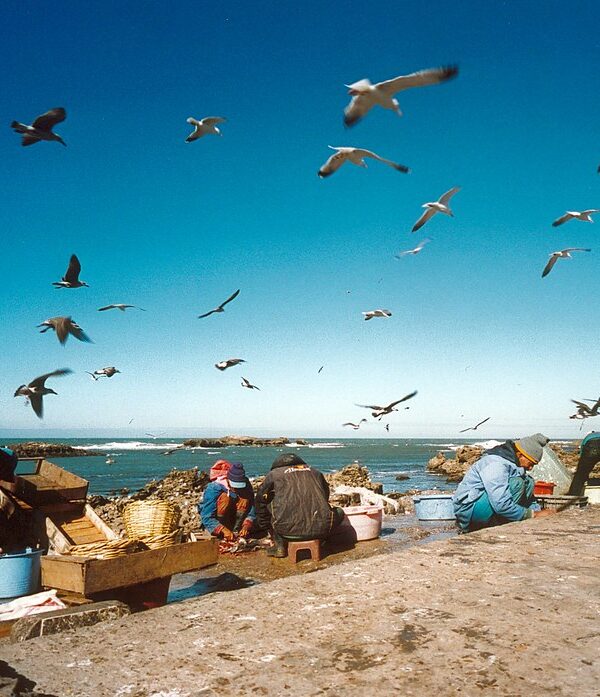 14 Days Morocco Sahara Tour from Tangier