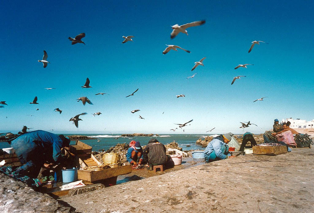 14 Days Morocco Sahara Tour from Tangier