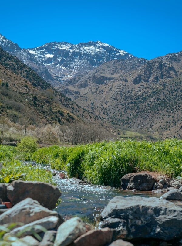a stream running through a lush green valley