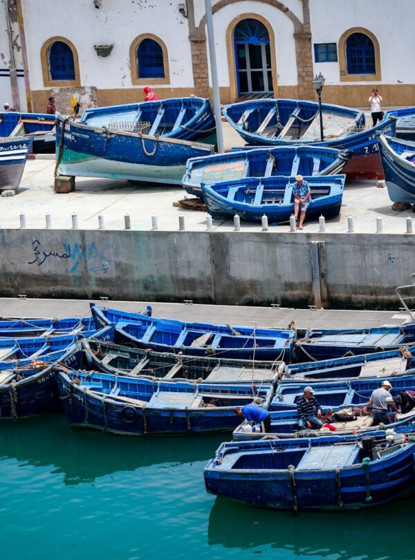 Essaouira Day Trip from Marrakech