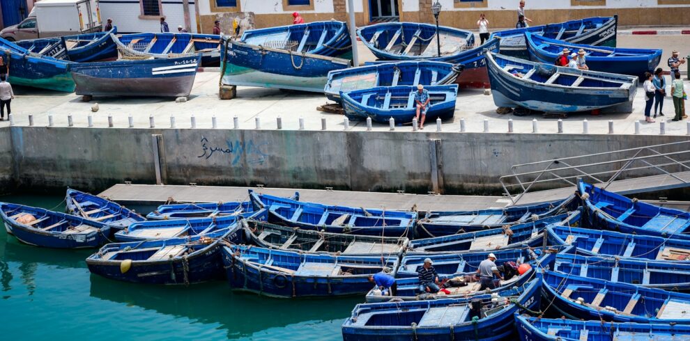 Essaouira Day Trip from Marrakech