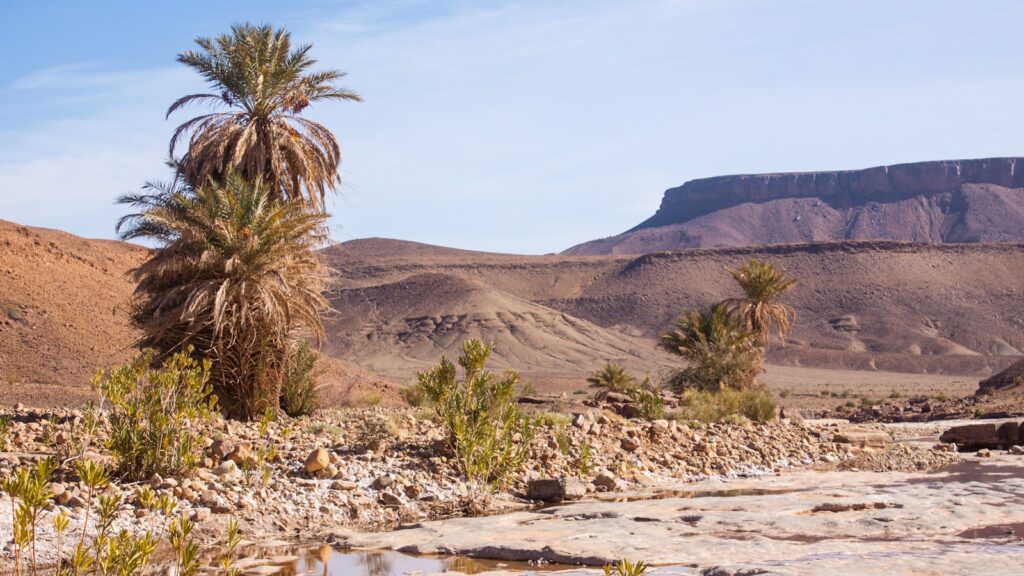2 Days Desert Tour from Marrakech to Zagora