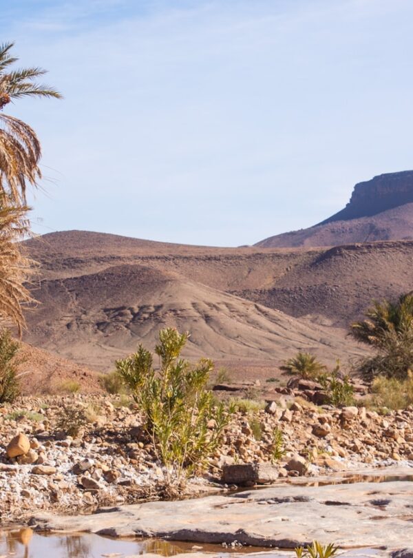2 Days Desert Tour from Marrakech to Zagora