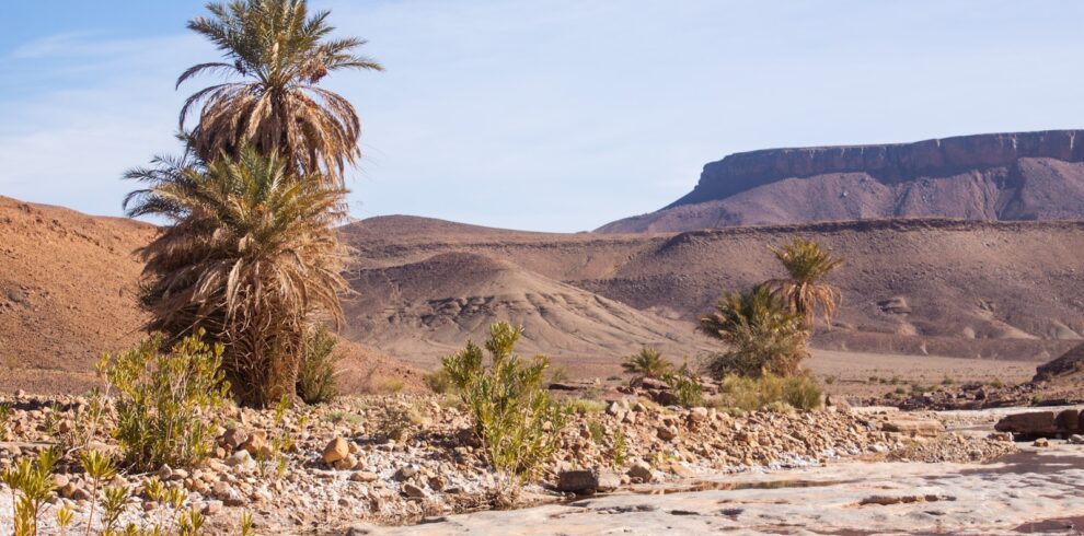 2 Days Desert Tour from Marrakech to Zagora