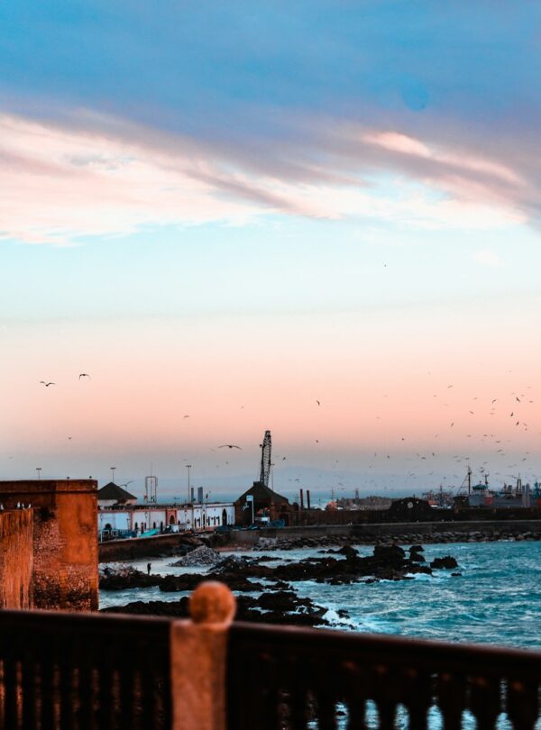 people walking on bridge near body of water during daytime